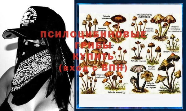 меф VHQ Новозыбков