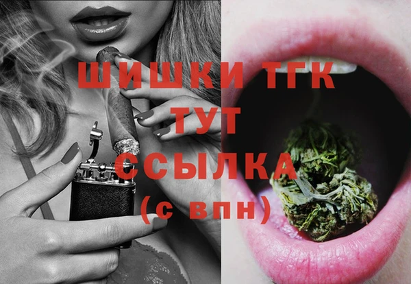 эйфоретик Баксан