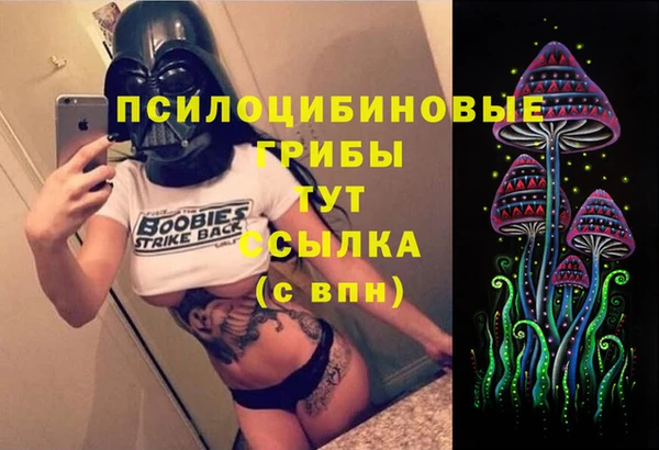 трава Балахна